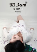 机器人城市中的社会组织与互动